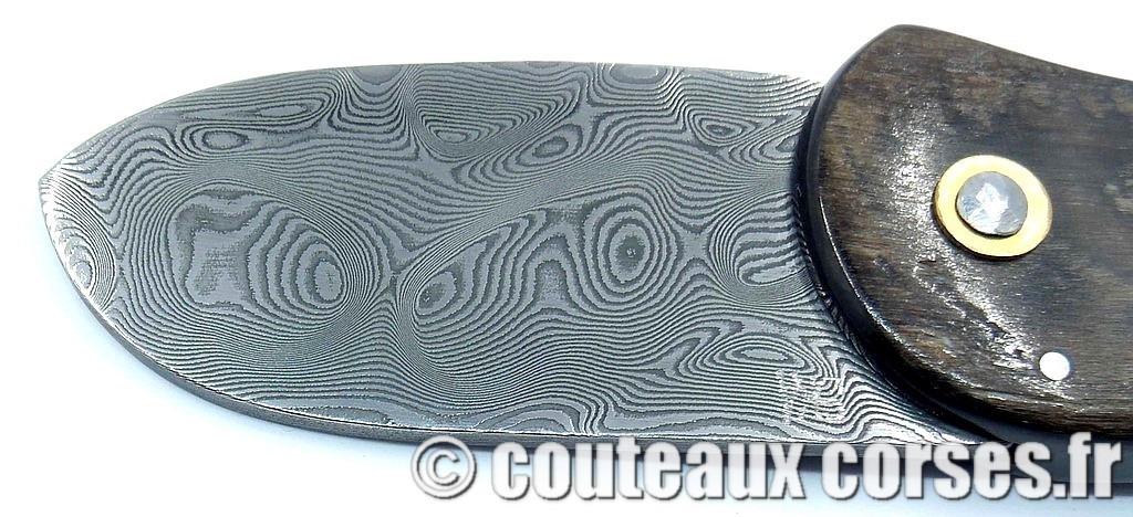 "Corsican Bulldog" acier carbone résine et pomme de pin 9 couteau-corse-corsican-bulldog_carbone-ska_MSDR843-8