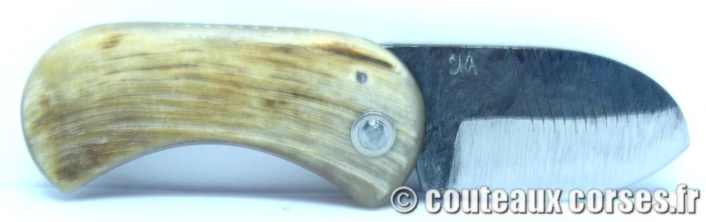 Corsican Bulldog aciercarbone et corne de bélier SKA 6-2 couteau-corse-corsican-bulldog-carbone-ska-9665RFDS-16