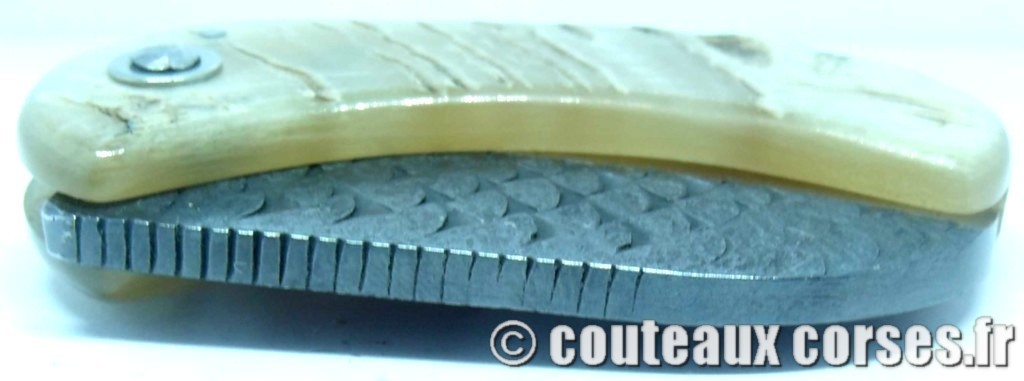 Corsican Bulldog aciercarbone et corne de bélier SKA 4-2 couteau-corse-corsican-bulldog-carbone-ska-3387FDD14