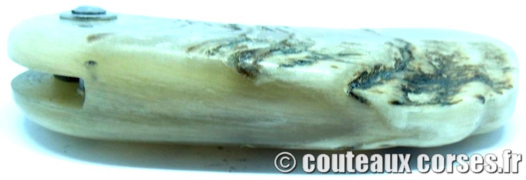 Corsican Bulldog aciercarbone et corne de bélier SKA 4-2 couteau-corse-corsican-bulldog-carbone-ska-3387FDD13