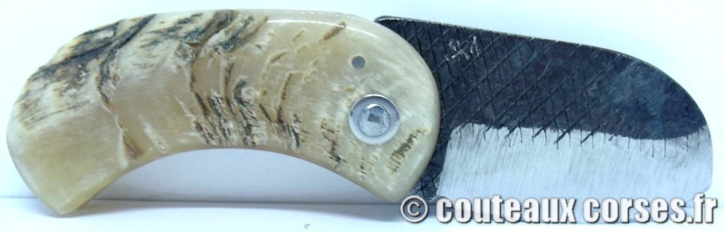 Corsican Bulldog aciercarbone et corne de bélier SKA 6-2 couteau-corse-corsican-bulldog-carbone-ska-3387FDD16
