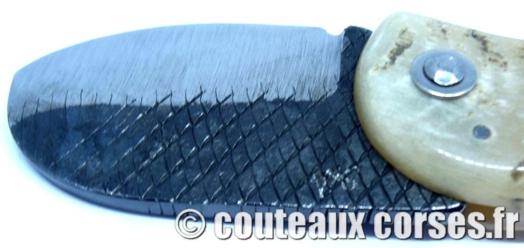 Corsican Bulldog acier carbone et corne de bélier SKA 1 couteau-corse-corsican-bulldog-carbone-ska-3387FDD18