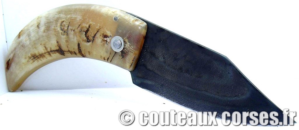 curnicciolu-corne-bélier-ska-DGFD854--10
