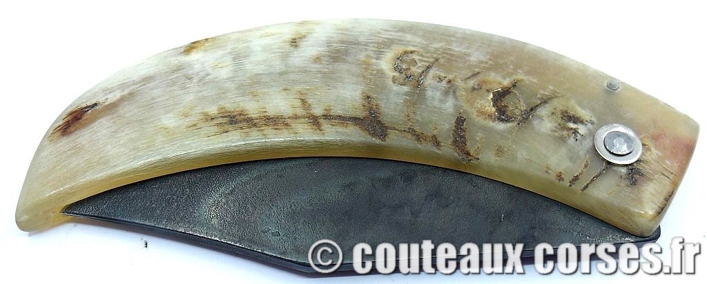 curnicciolu-corne-bélier-ska-DGFD854--2