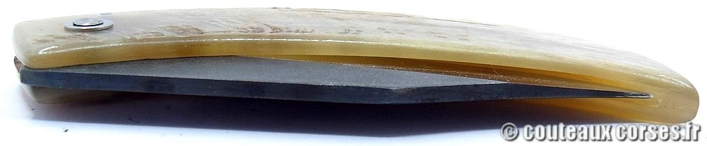 curnicciolu-corne-bélier-ska-DGFD854--3