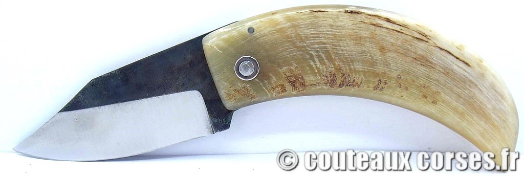 curnicciolu-corne-bélier-ska-DGFD854--5