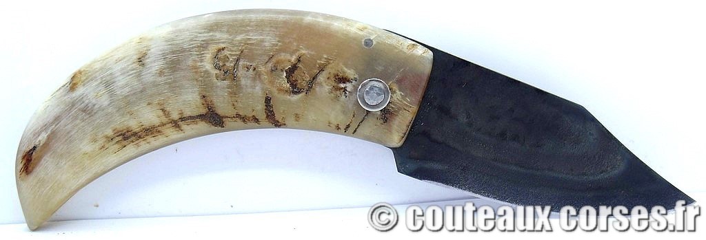 curnicciolu-corne-bélier-ska-DGFD854--6