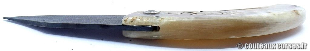 curnicciolu-corne-bélier-ska-DGFD854--7