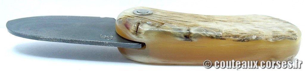 Corsican Bulldog aciercarbone et corne de bélier SKA 7-7 couteau-corse-corsican-bulldog-carbone-ska-FXCR973-7