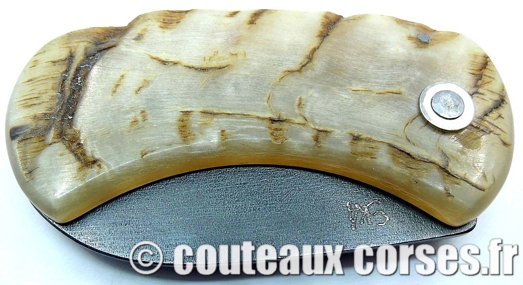 "Corsican Bulldog" acier carbone 2 couteau-corse-corsican-bulldog-carbone-ska-MFGP9052