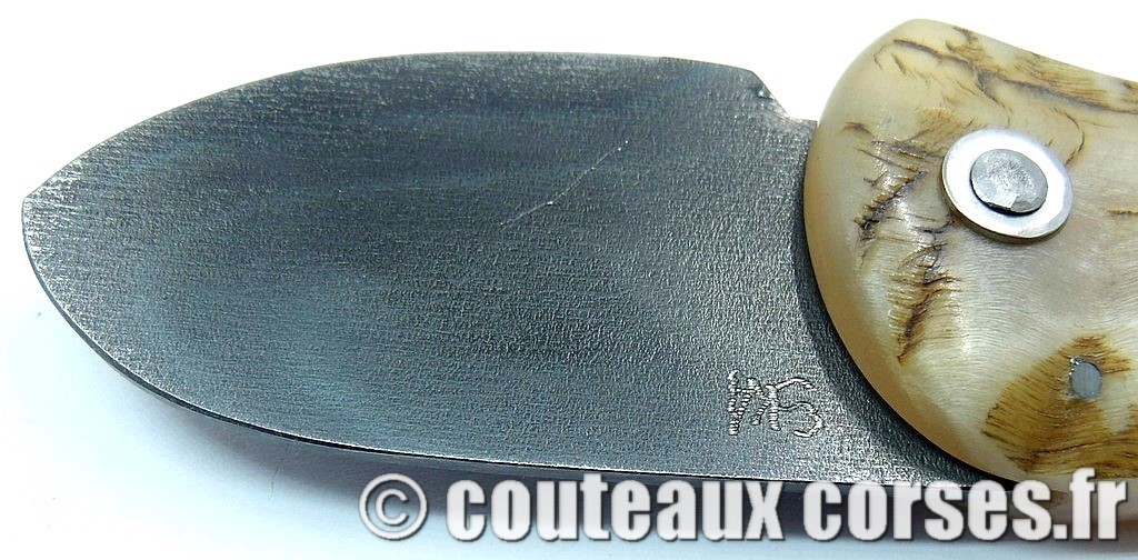 Corsican Bulldog acier carbone et corne de bélier SKA 1 couteau-corse-corsican-bulldog-carbone-ska-MFGP9058
