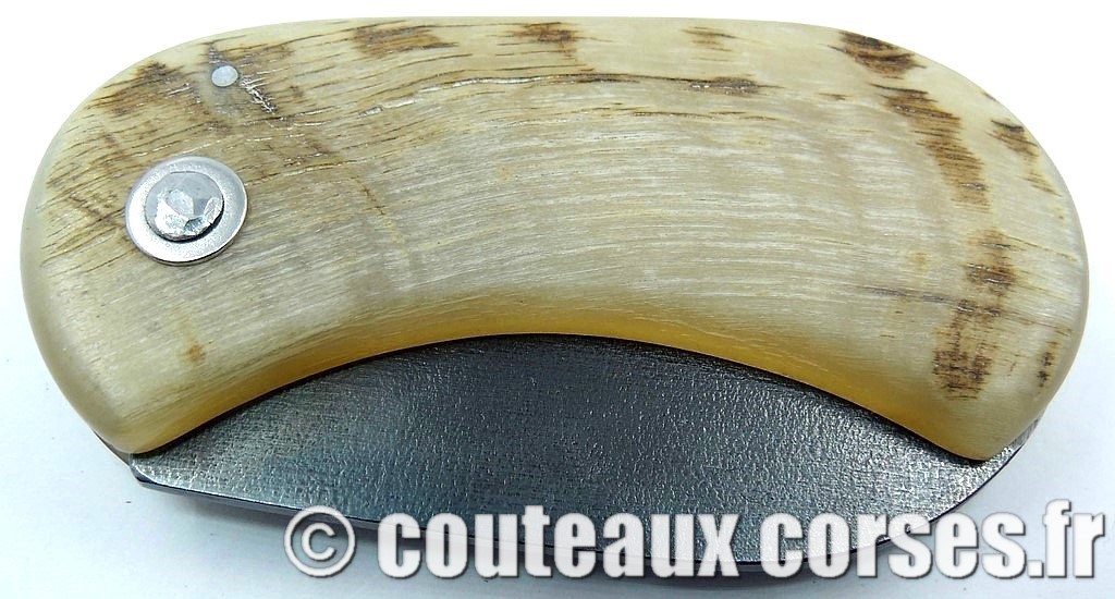 "Corsican Bulldog" acier carbone 2 couteau-corse-corsican-bulldog-carbone-ska-couteau-corse-corsican-bulldog-carbone-ska-BNXZ1386-