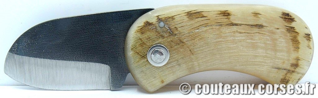 Corsican Bulldog aciercarbone et corne de bélier SKA 5-2 couteau-corse-corsican-bulldog-carbone-ska-BNXZ1386-5