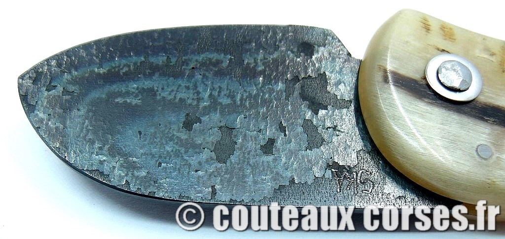 Corsican Bulldog acier carbone et corne de bélier SKA 1 couteau-corse-corsican-bulldog-carbone-ska-BNXZ1386-8
