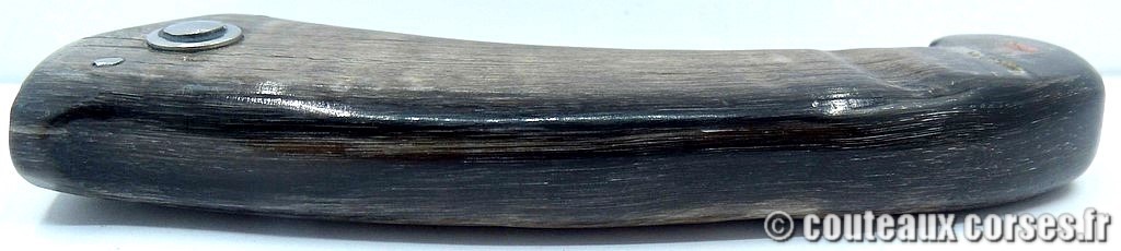 Couteau artisanal corse, A Vellutini 5 19cc couteaux-corses-vellutini-AVKJSD9513