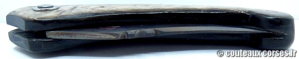 Couteau artisanal corse, A Vellutini cc557 couteaux-corses-vellutini-AVKJSD9513