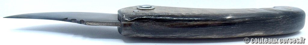 Couteau artisanal corse, A Vellutini 71 7cc couteaux-corses-vellutini-AVKJSD9517.