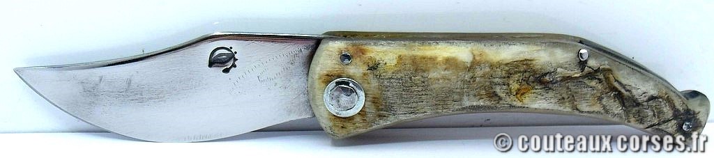 Couteau artisanal corse, A Vellutini cb322 Curnicciolu lame acier carbone 3.0 mm manche bélier 5