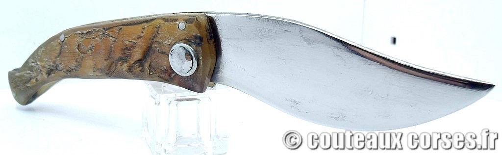 Couteau artisanal corse, A Vellutini 898 cc Curnicciolu lame acier inox trempe douce 3.0 mm manche bélier-10