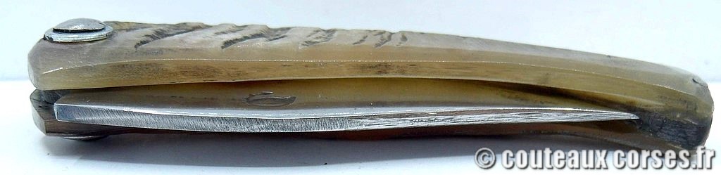 Couteau artisanal corse, A Vellutini cc557 Curnicciolu lame acier inox trempe douce 3.0 mm manche bélier-3