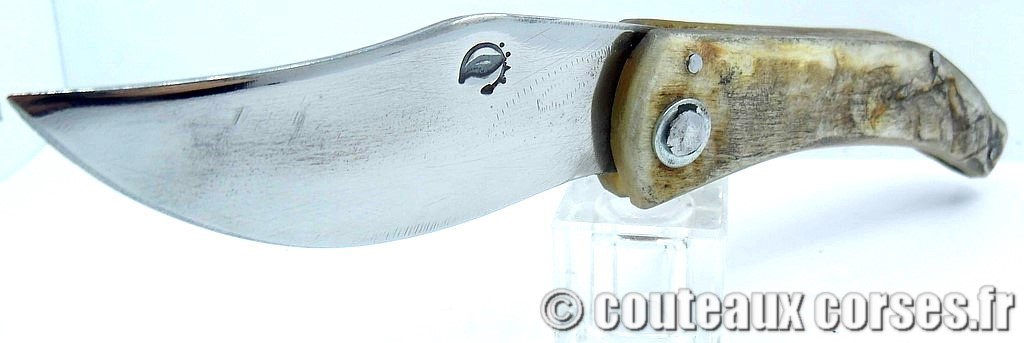 couteaux-corses-vellutini-MSDL302-9.