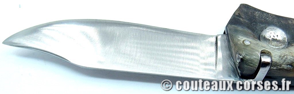 Curnicciolu blocage de lame acier inox trempe douce 3.0 mm manche corne de bouc8