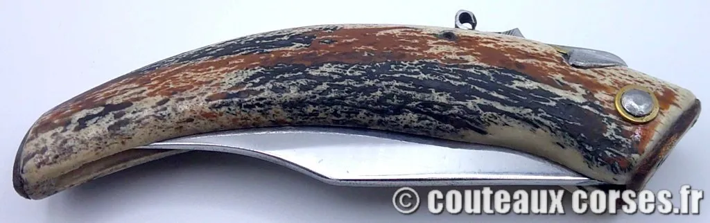 couteau-corse-blocage-lame-vellutini-801-2 couteau-corse-blocage-lame-vellutini-801-2