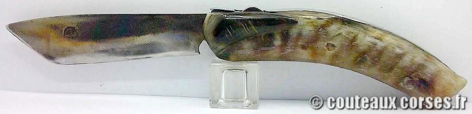 Couteau artisanal corse, A Vellutini cc2 Curnicciolu à blocage de lame inox trempe douce 3.0 mm et corne bélier, Curnicciolu à blocage de lame 14c28 trempe douce 3.0 mm et corne bélier et carbone-IUEPL602-2