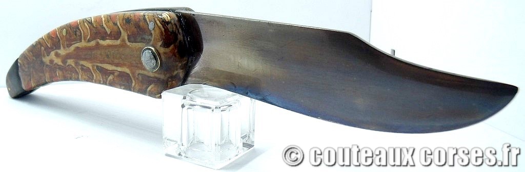 Couteau artisanal corse, A Vellutini 800 couteaux-corses-vellutini-FDTB386-10.jpg