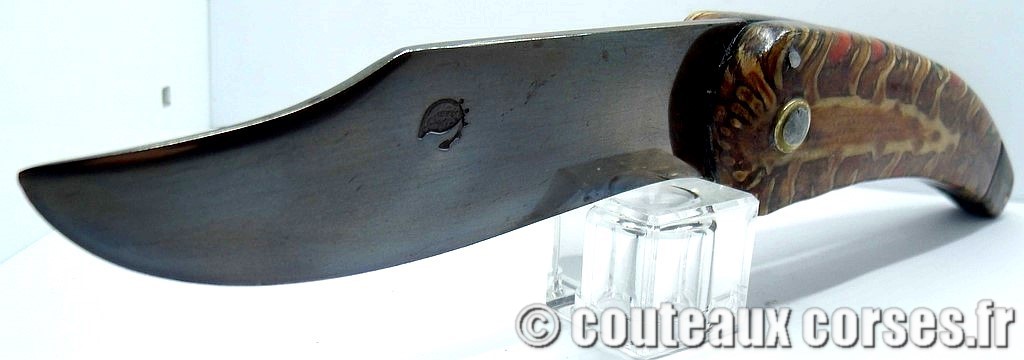 Couteau artisanal corse , A Vellutini 290 couteaux-corses-vellutini-FDTB386-9.jpg