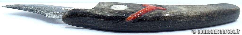 couteau-table-vellutini-MSDG555-1