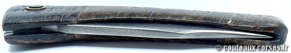 Couteau artisanal corse, A Vellutini cc230 couteaux-corses-vellutini-EDFO870-3.jpg