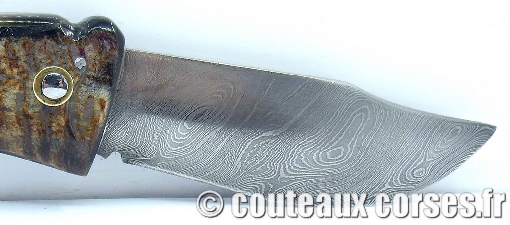 Couteau artisanal corse, A Vellutini cb760 couteaux-corses-vellutini-EDFO870-66.jpg