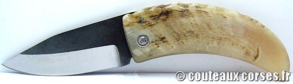 curnicciolu-corne-bélier-ska-MPFD750-5
