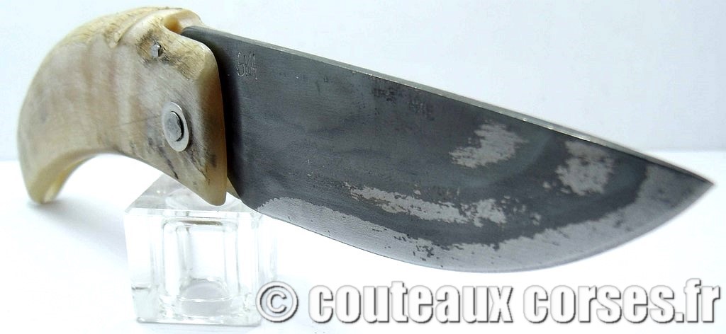 curnicciolu-corne-bélier-ska-KLFP842-10