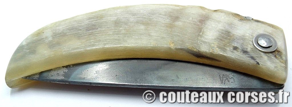 curnicciolu-corne-bélier-ska-KLFP842-2