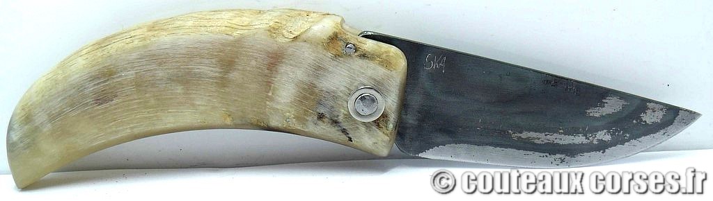 curnicciolu-corne-bélier-ska-KLFP842-6