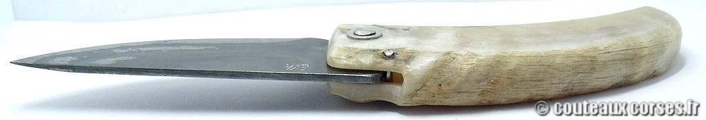 curnicciolu-corne-bélier-ska-KLFP842-7