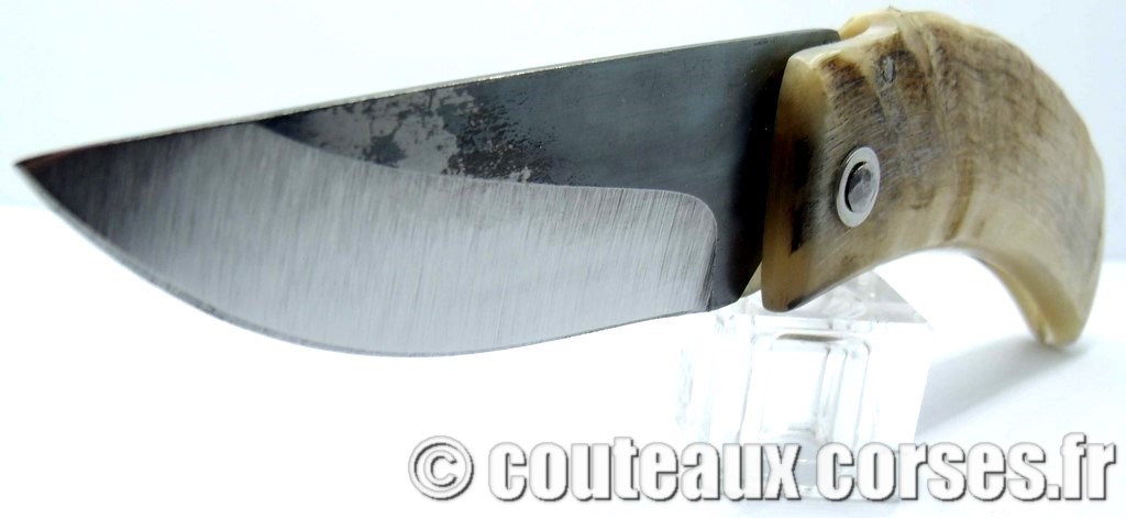 Curnicciolu corne de belier et acier carbone curnicciolu-corne-bélier-ska-KLFP842-1