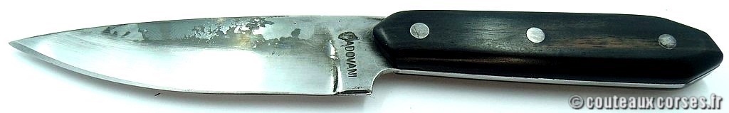 couteau_office_padovani_KVYU842-6