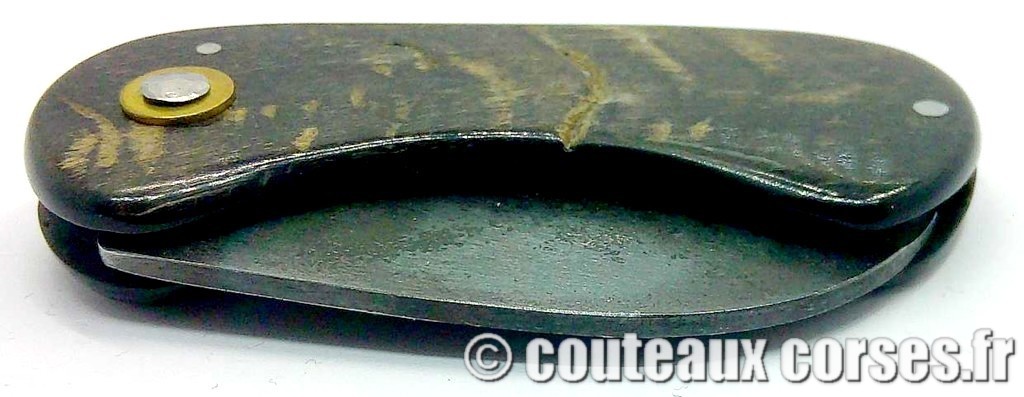 Corsican Bulldog aciercarbone et corne de bélier SKA 4-2 couteau-corse-corsican-bulldog-carbone-ska--couteau-corse-corsican-bulldog-carbone-ska--OPURTY399--4
