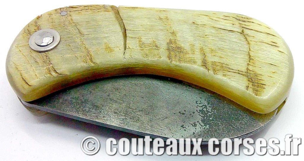 "Corsican Bulldog" acier carbone 2 couteau-corse-corsican-bulldog-carbone-ska--SDFAE600-4