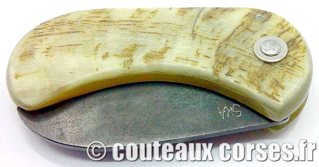 "Corsican Bulldog" acier carbone 2 couteau-corse-corsican-bulldog-carbone-ska--SDFAE600-2