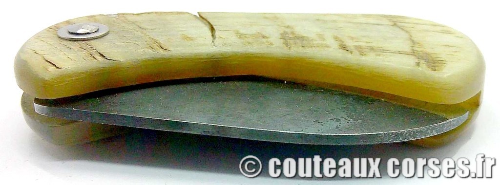 Corsican Bulldog aciercarbone et corne de bélier SKA 4-2 couteau-corse-corsican-bulldog-carbone-ska--SDFAE600-4