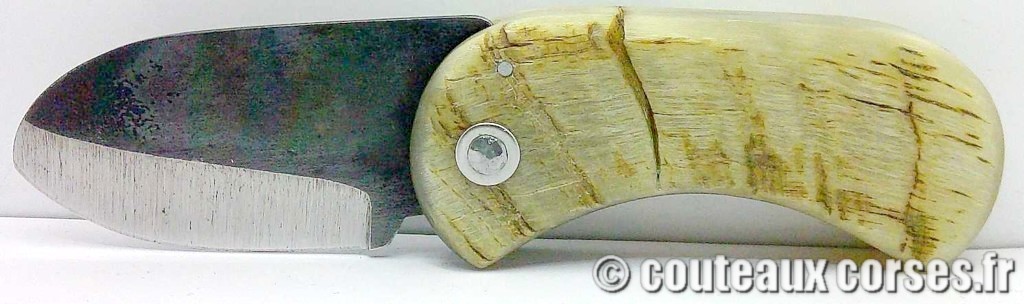 Corsican Bulldog aciercarbone et corne de bélier SKA 5-2 couteau-corse-corsican-bulldog-carbone-ska--SDFAE600-5