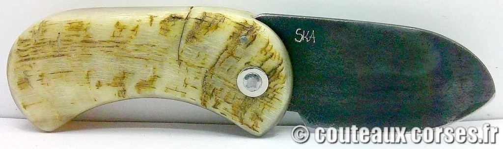 Corsican Bulldog aciercarbone et corne de bélier SKA 6-2 couteau-corse-corsican-bulldog-carbone-ska--SDFAE600-6