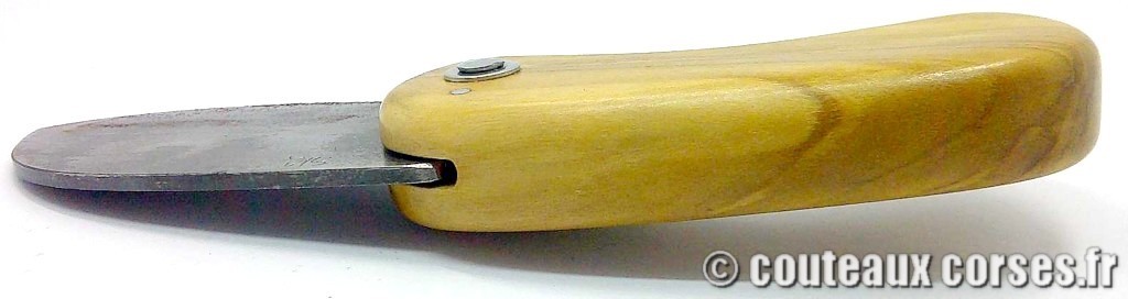 Corsican Bulldog aciercarbone et corne de bélier SKA 7-7 couteau-corse-corsican-bulldog-carbone-ska--ERAOI401-7