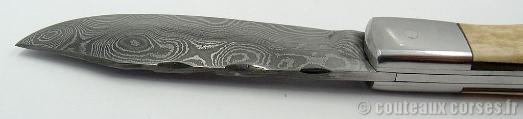 Pastureddu mitre marqueterie pulpe et croûte de mammouth et lame acier damas carbone-515