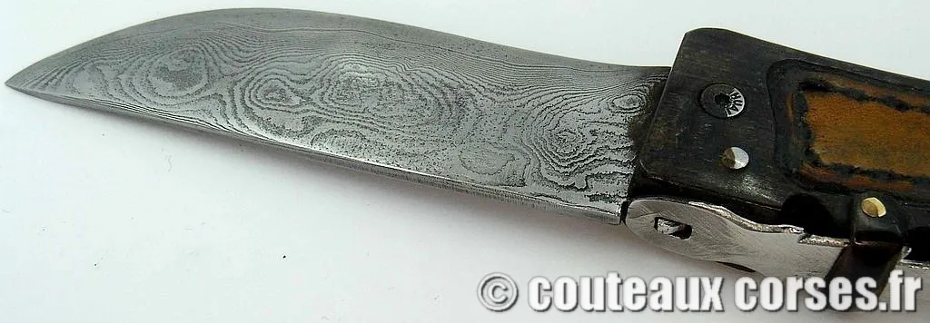 Couteau corse damas, A Vellutini 6 couteau_corse_vellutini_belier_et_damas__6