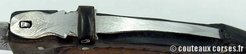 Couteau corse damas, A Vellutini 8 couteau_corse_vellutini_belier_et_damas__9